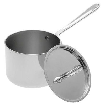 All Clad Stainless Steel 2 Quart Sauce Pan with Lid