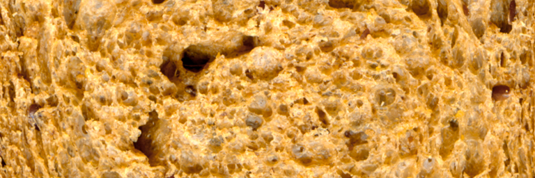 Gluten – The Hide & Go Seek Game bread-closeup